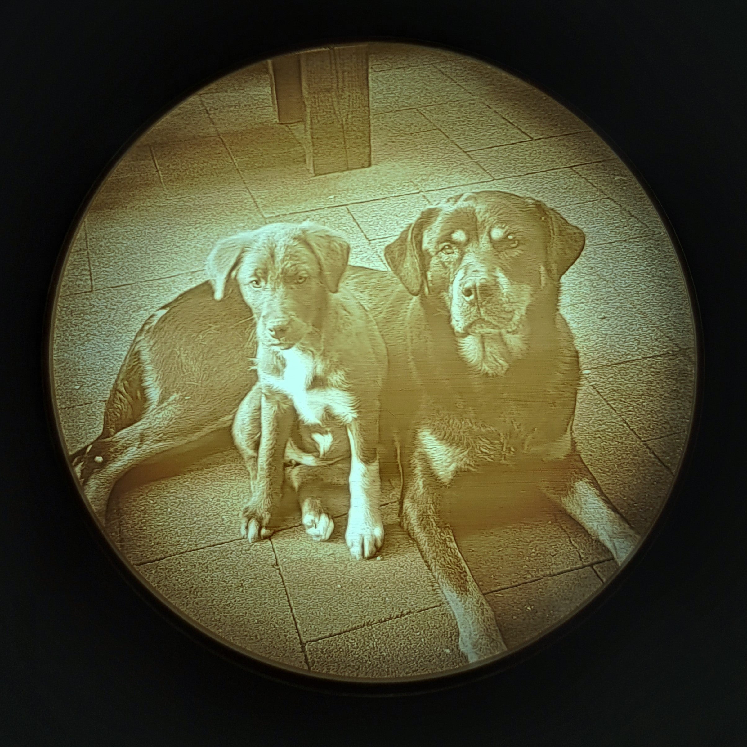 Plafondlamp met eigen foto